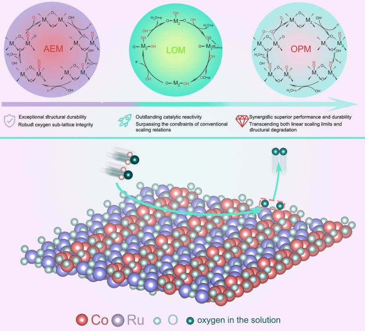 化学化工学院钟文武教授团队在《Advanced Materials》发表论文